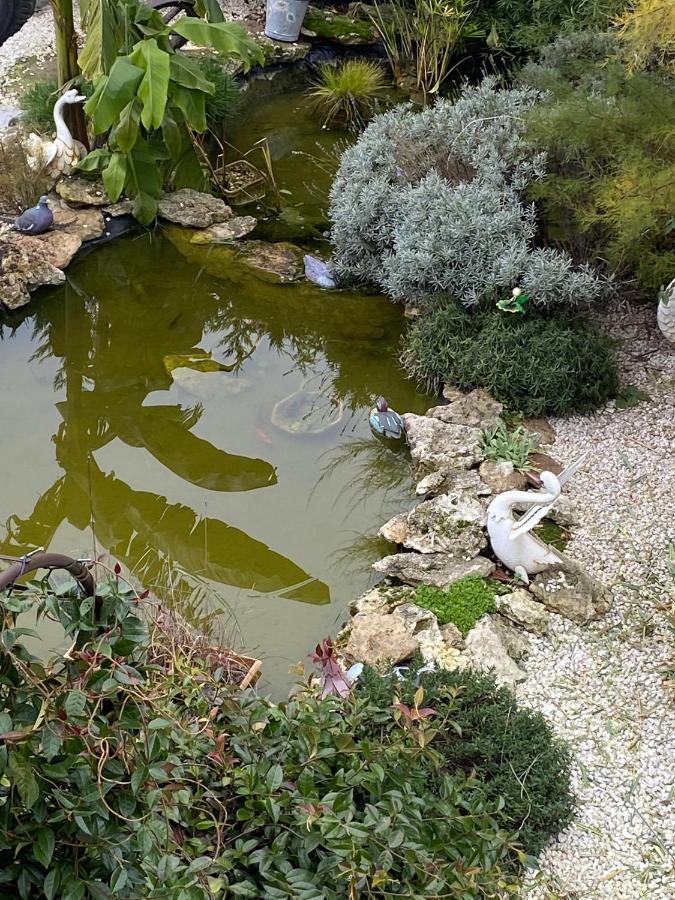 La Maison Du Bonheur Saintry-sur-Seine Экстерьер фото