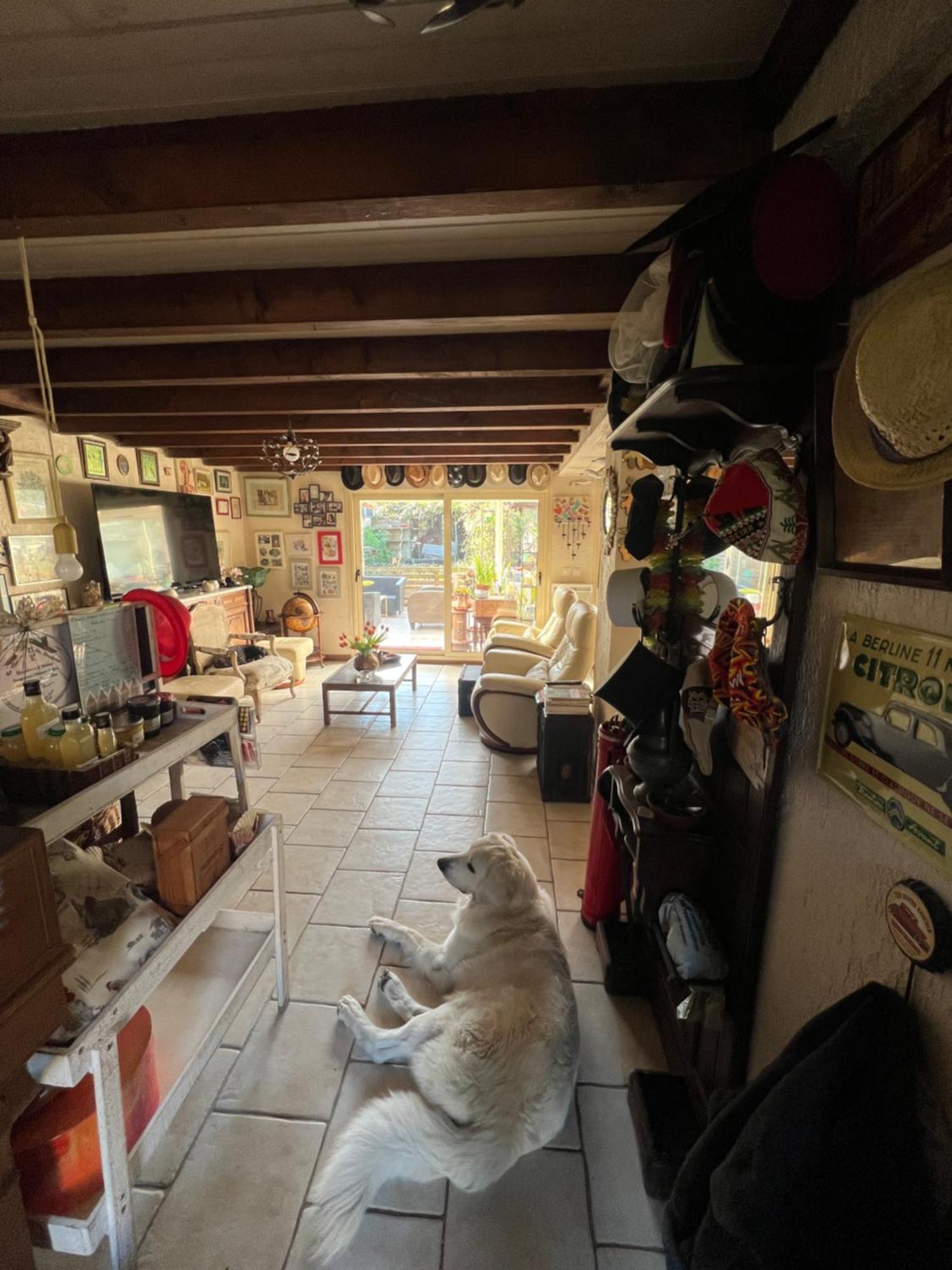 La Maison Du Bonheur Saintry-sur-Seine Экстерьер фото
